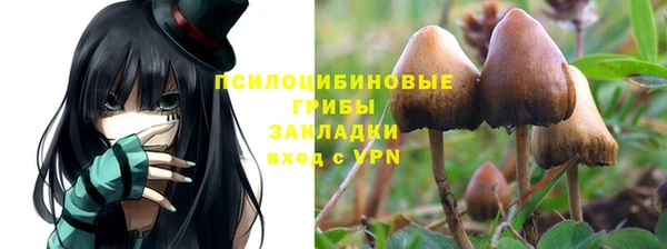 дурь Алексин