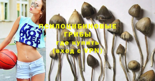дурь Алексин
