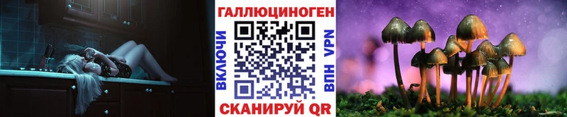 Галлюциногенные грибы Psilocybe магазин наркотиков ссылка на мегу зеркало Биробиджан